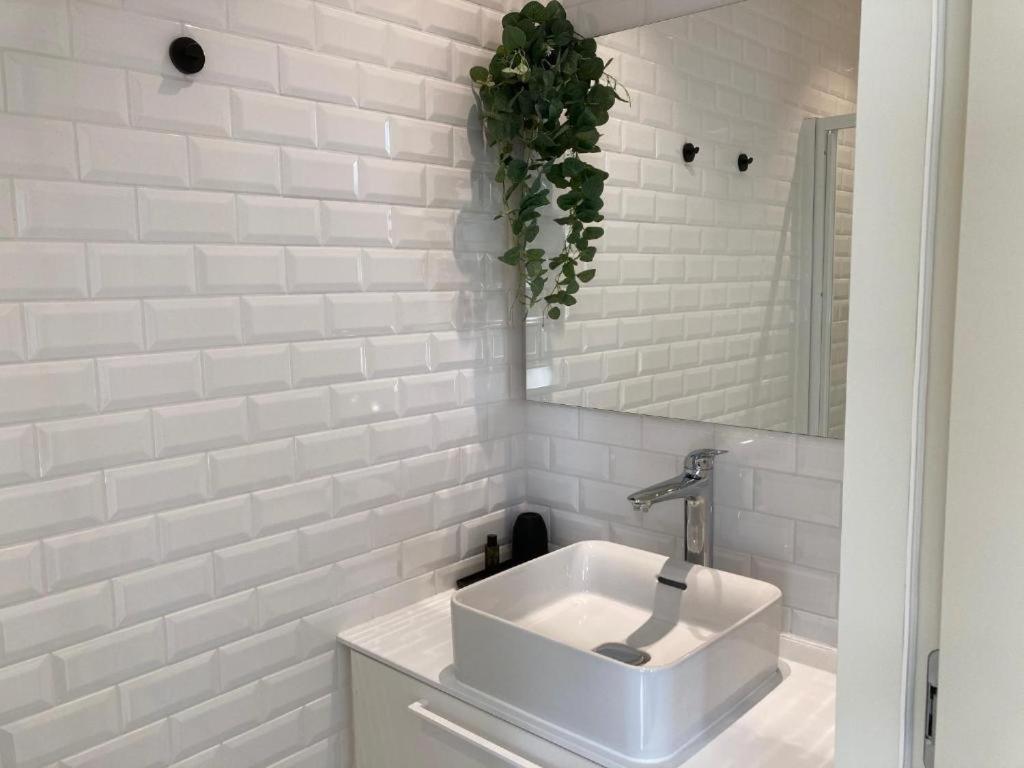 Borgerhouse B&B Antwerpen Exteriör bild
